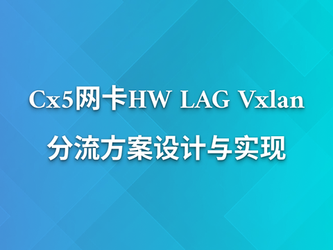 Cx5网卡HW LAG Vxlan分流方案设计与实现