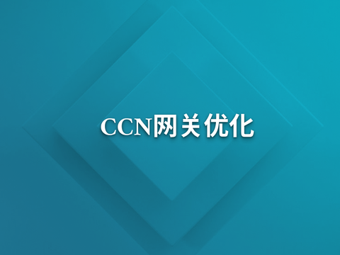 CCN网关子网清理性能优化