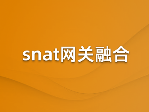 snat网关融合设计方案