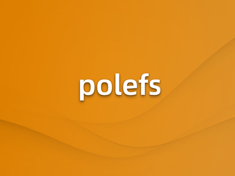 Lustre 与 PoleFS 比较