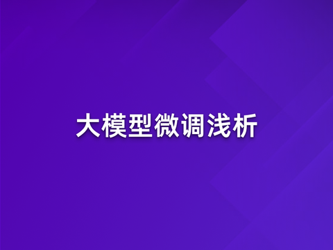 大模型微调浅析